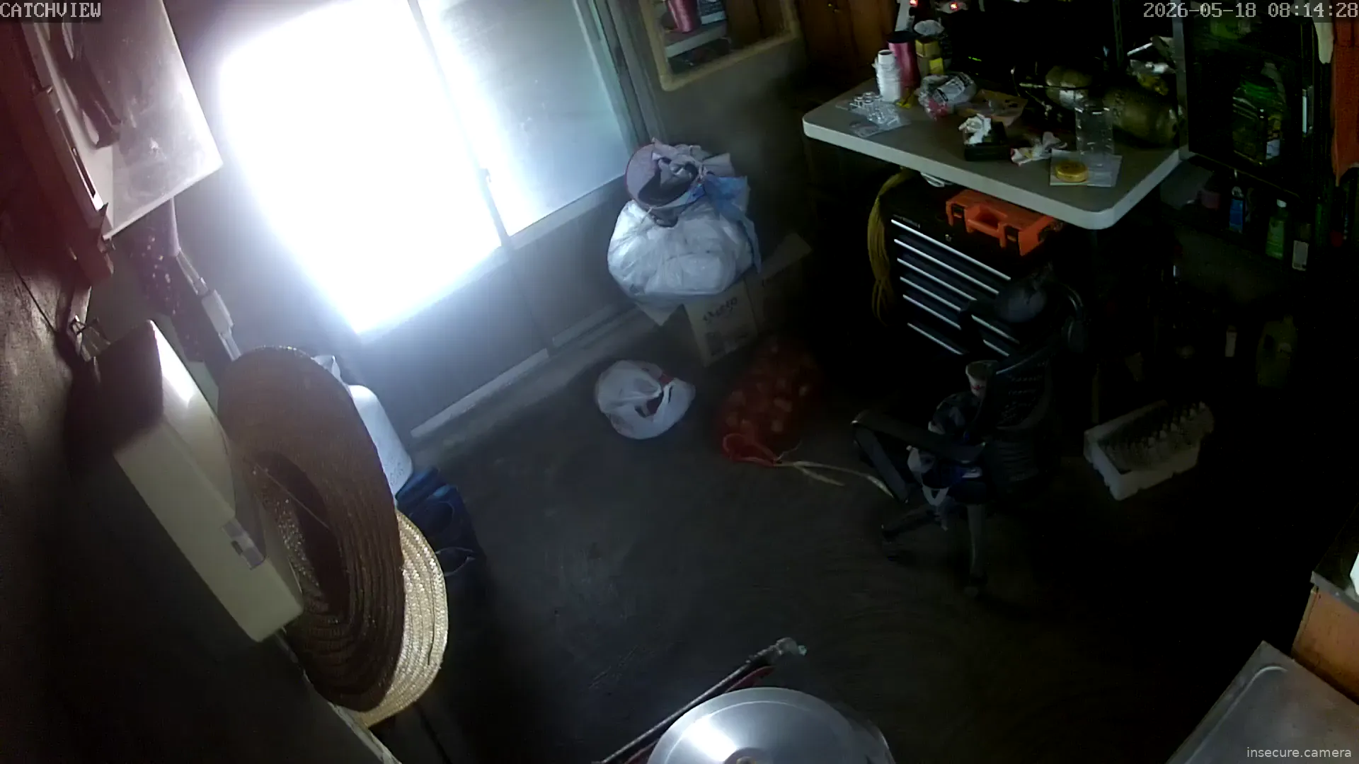 Capture from May 17, 2026 at 11:15 PM