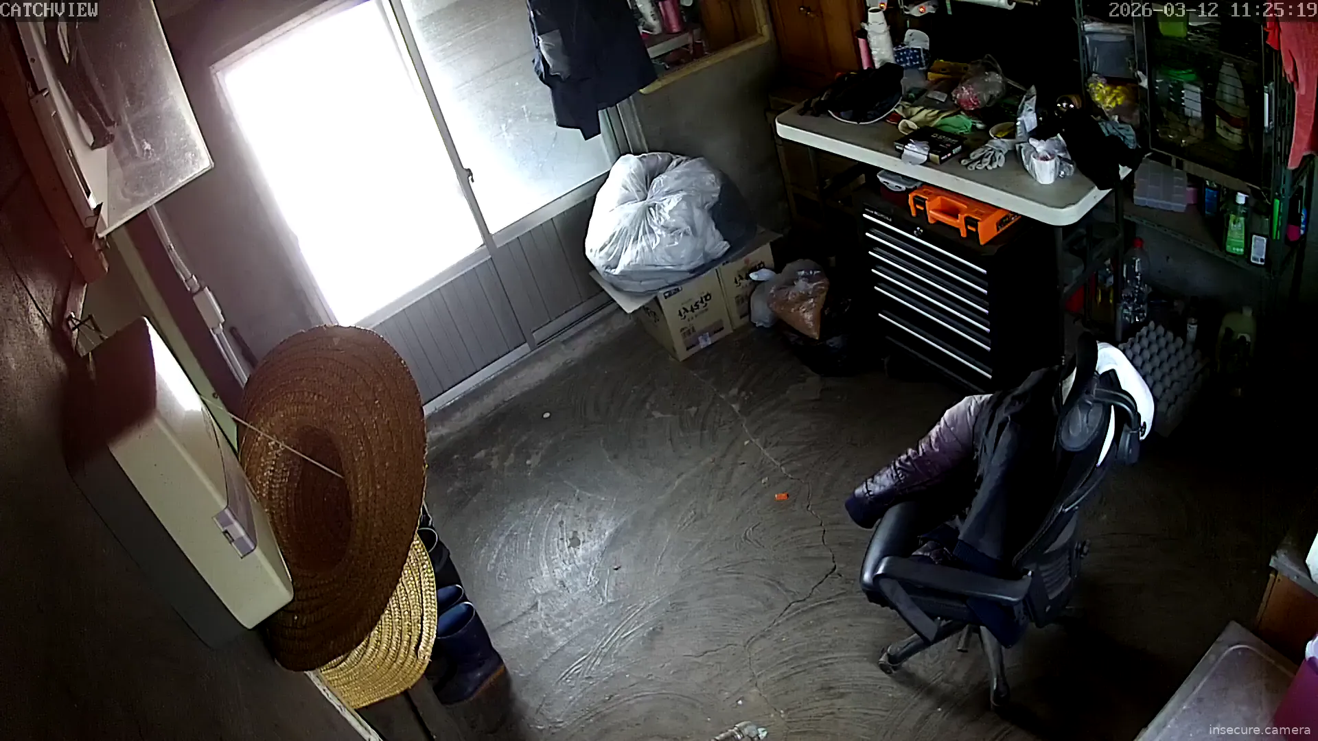 Camera in South Korea