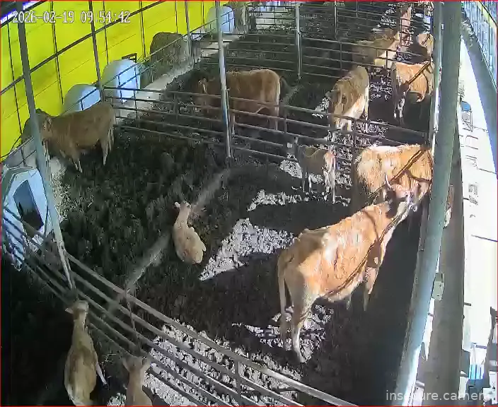 Capture from Feb 19, 2026 at 12:55 AM