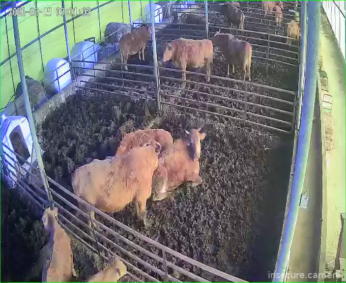 Capture from Feb 19, 2026 at 12:01 AM