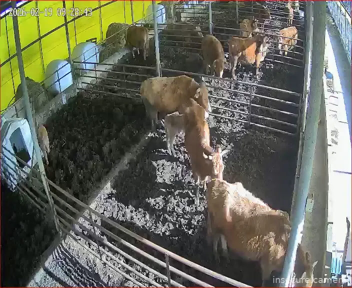 Capture from Feb 19, 2026 at 12:29 AM