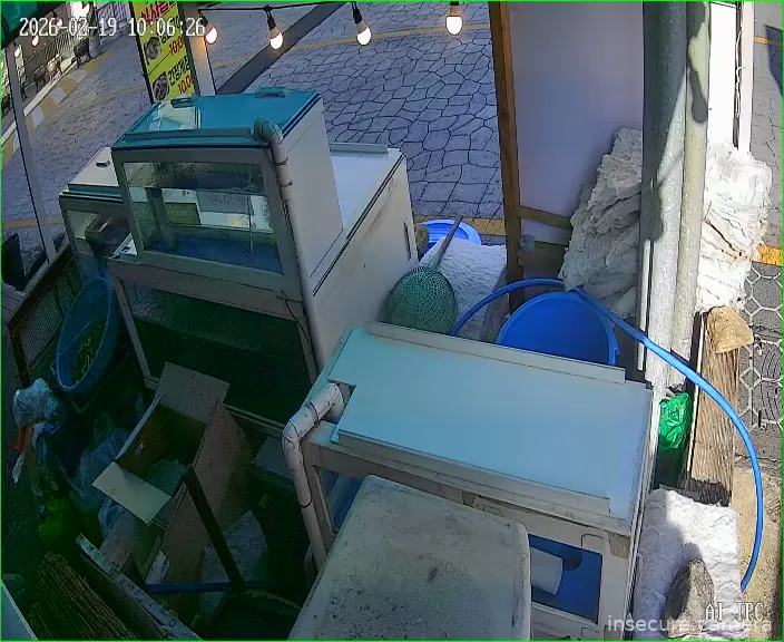 Capture from Feb 19, 2026 at 01:06 AM