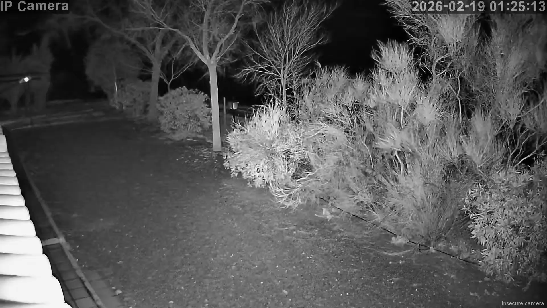 Capture from Feb 19, 2026 at 12:26 AM