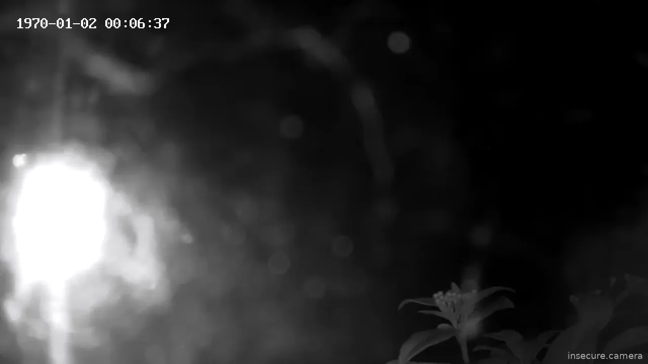 Capture from Mar 15, 2026 at 01:25 AM