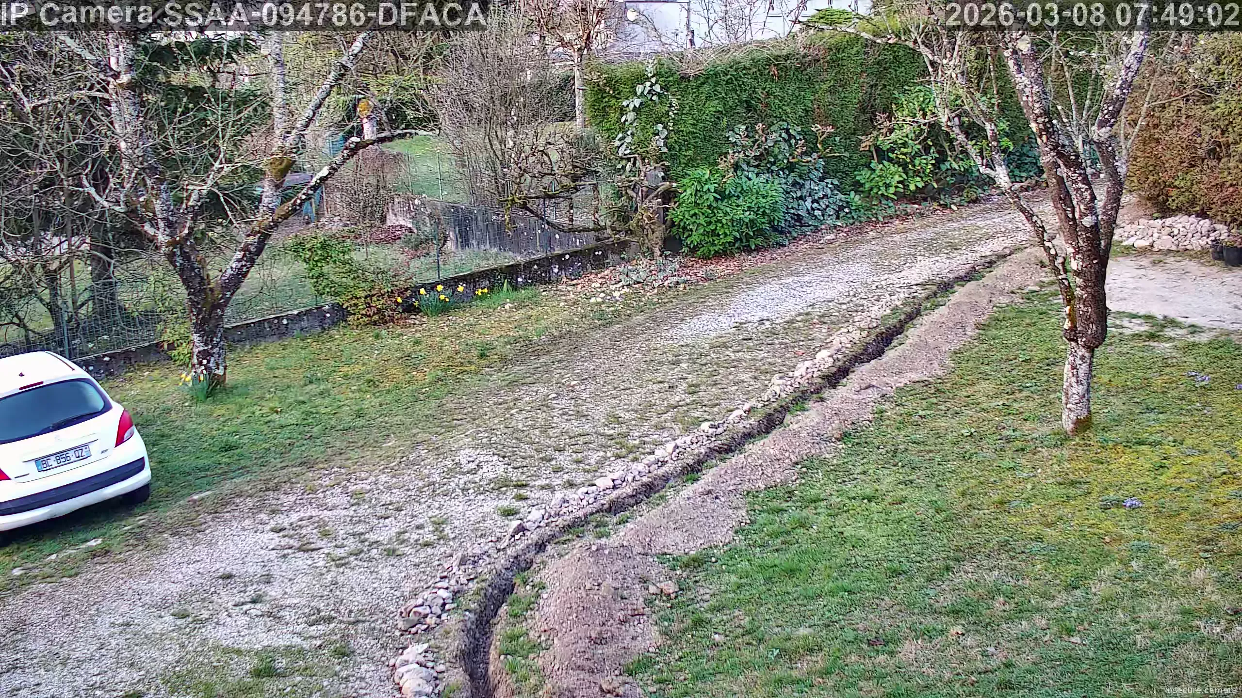 Capture from Mar 08, 2026 at 06:49 AM