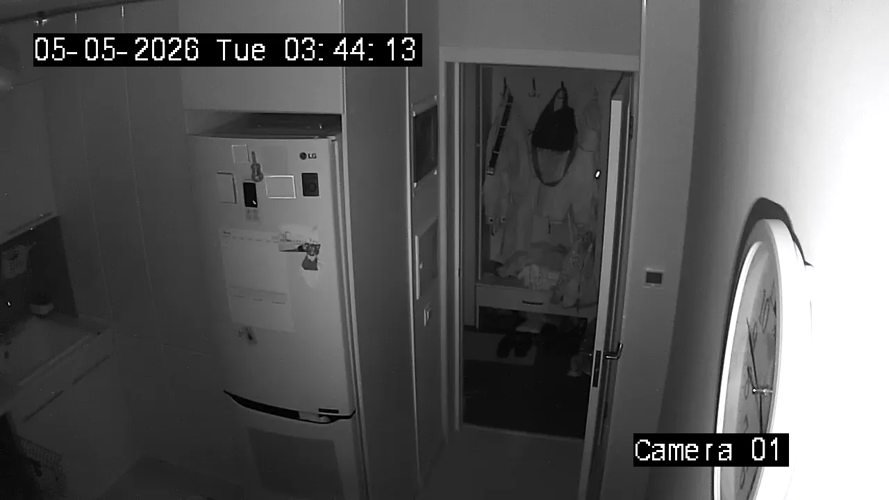 Camera in Russia