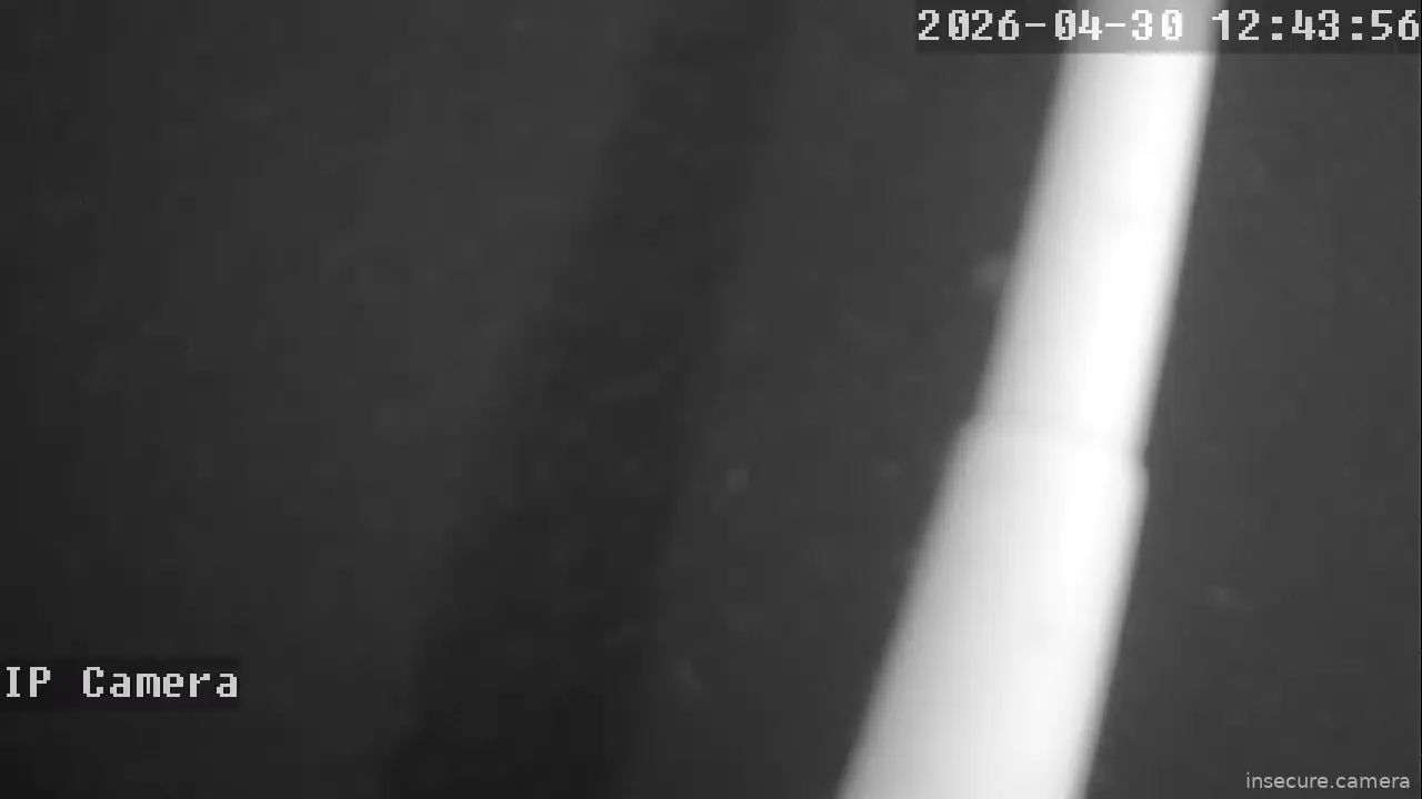 Capture from Apr 30, 2026 at 03:44 PM