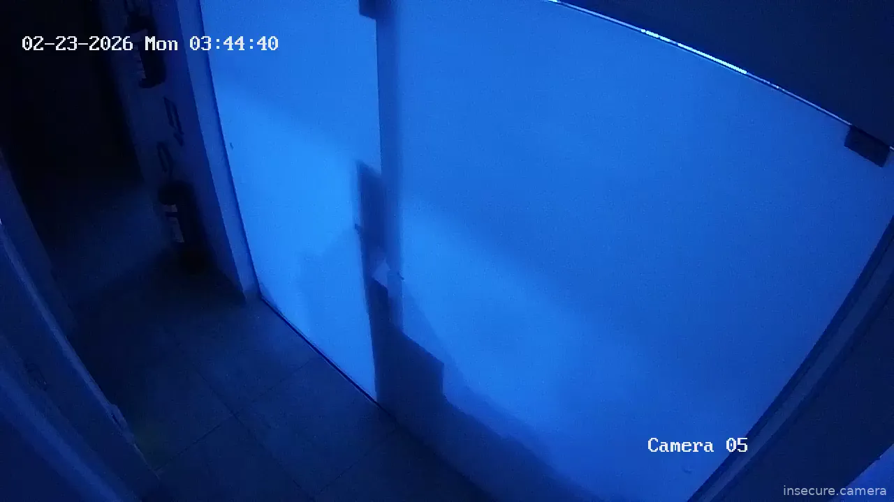 Capture from Feb 28, 2026 at 07:21 AM