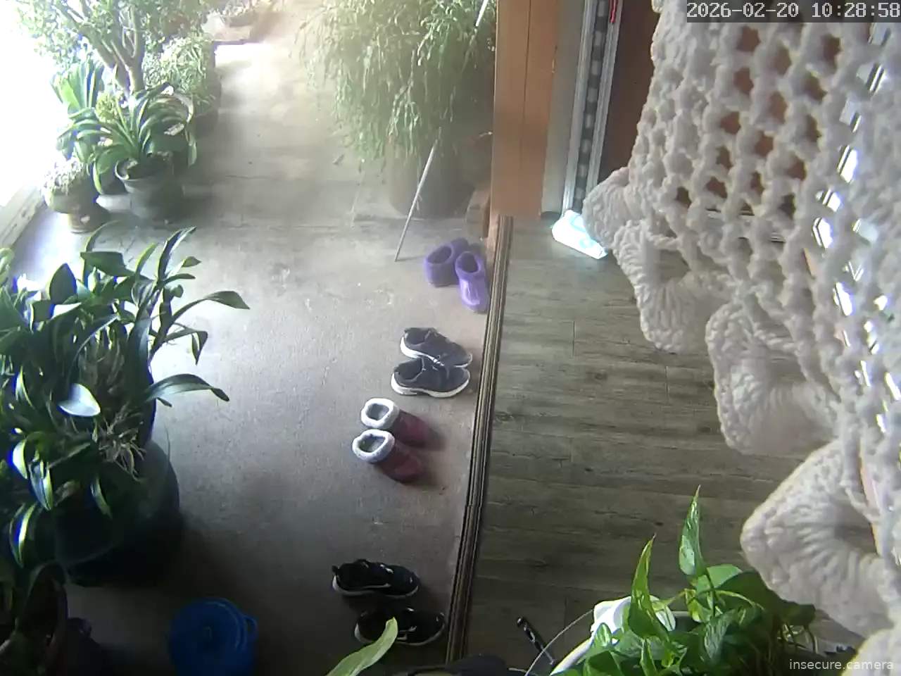 Capture from Feb 20, 2026 at 01:29 AM