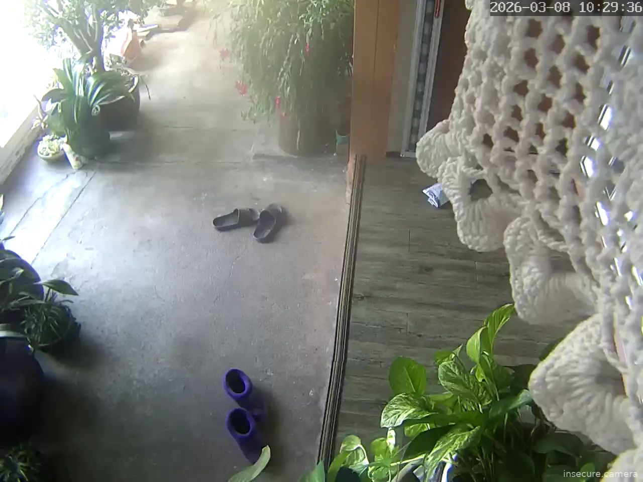 Camera in South Korea