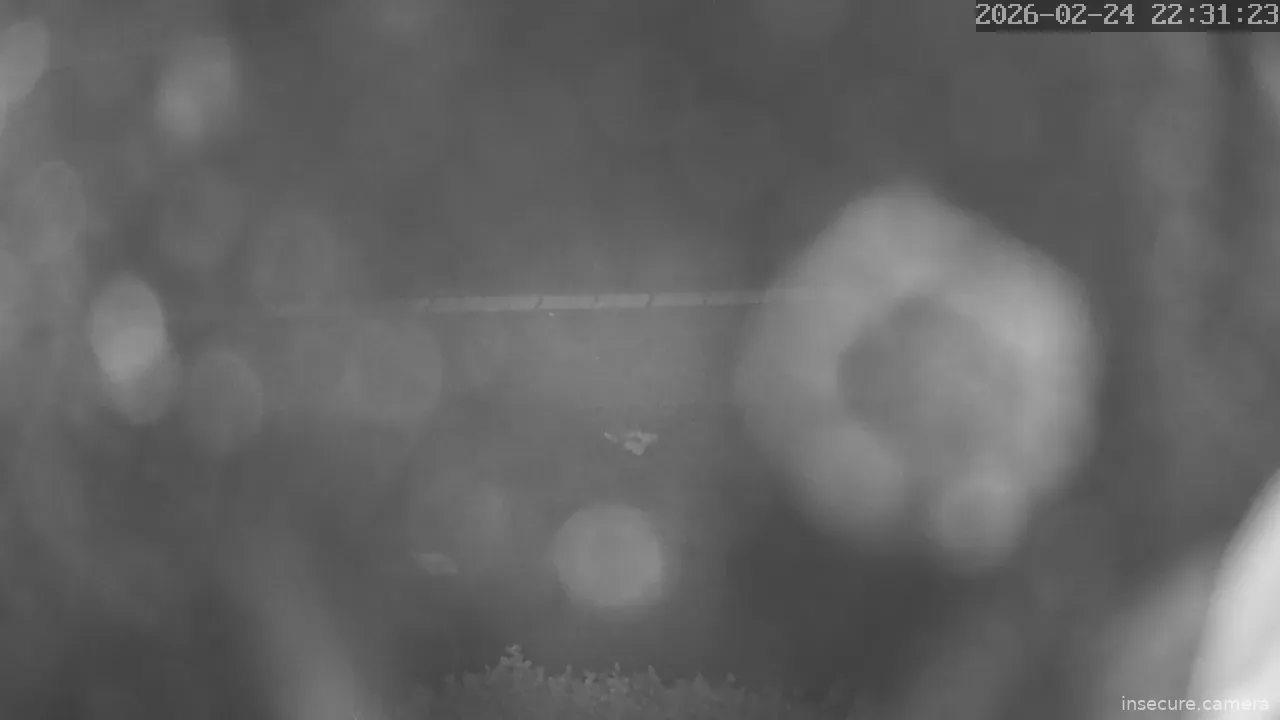 Capture from Feb 25, 2026 at 02:31 AM