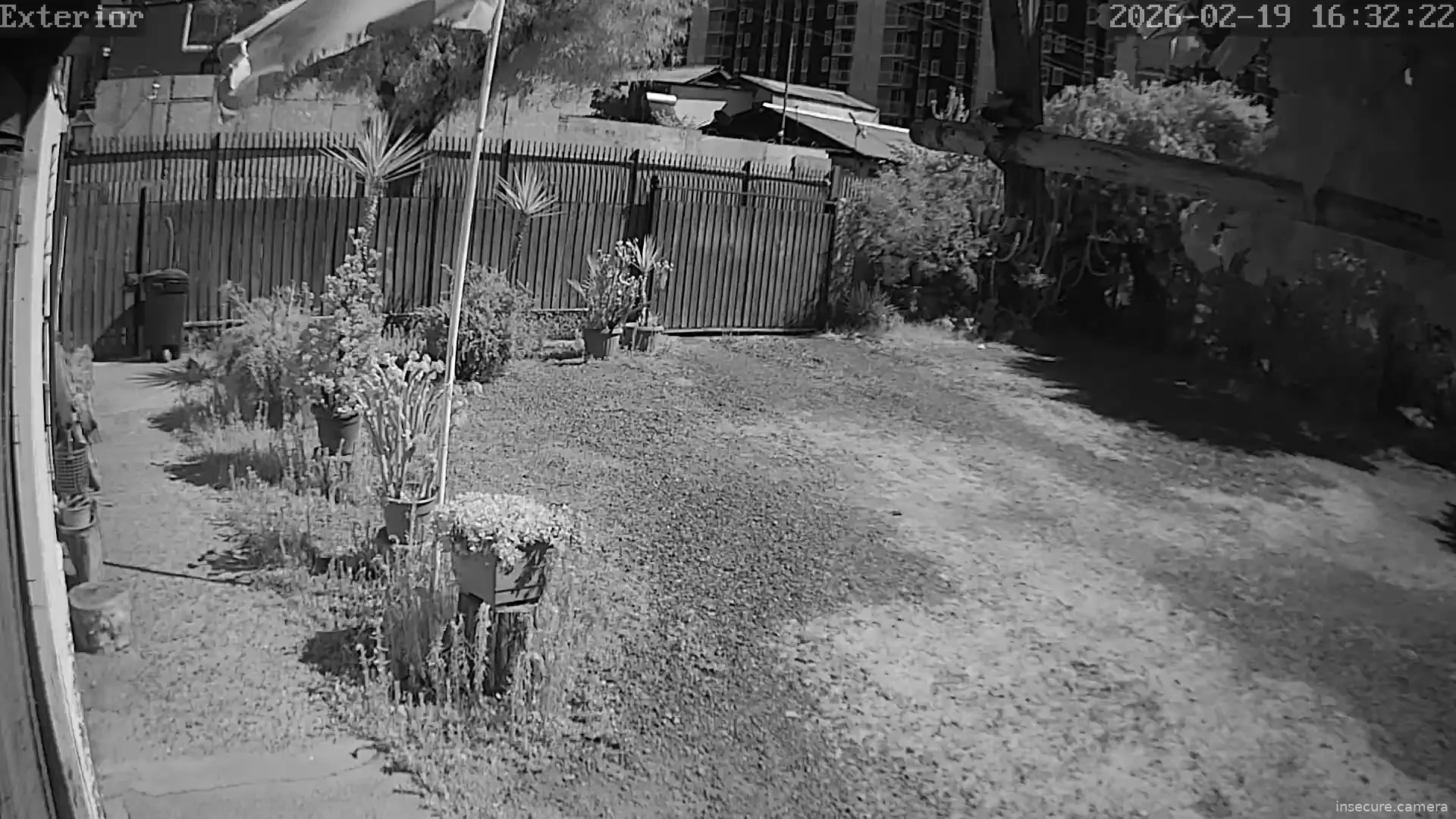 Capture from Feb 19, 2026 at 07:33 PM