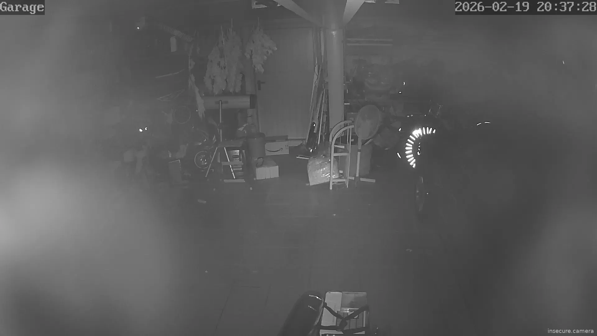 Capture from Feb 19, 2026 at 07:37 PM