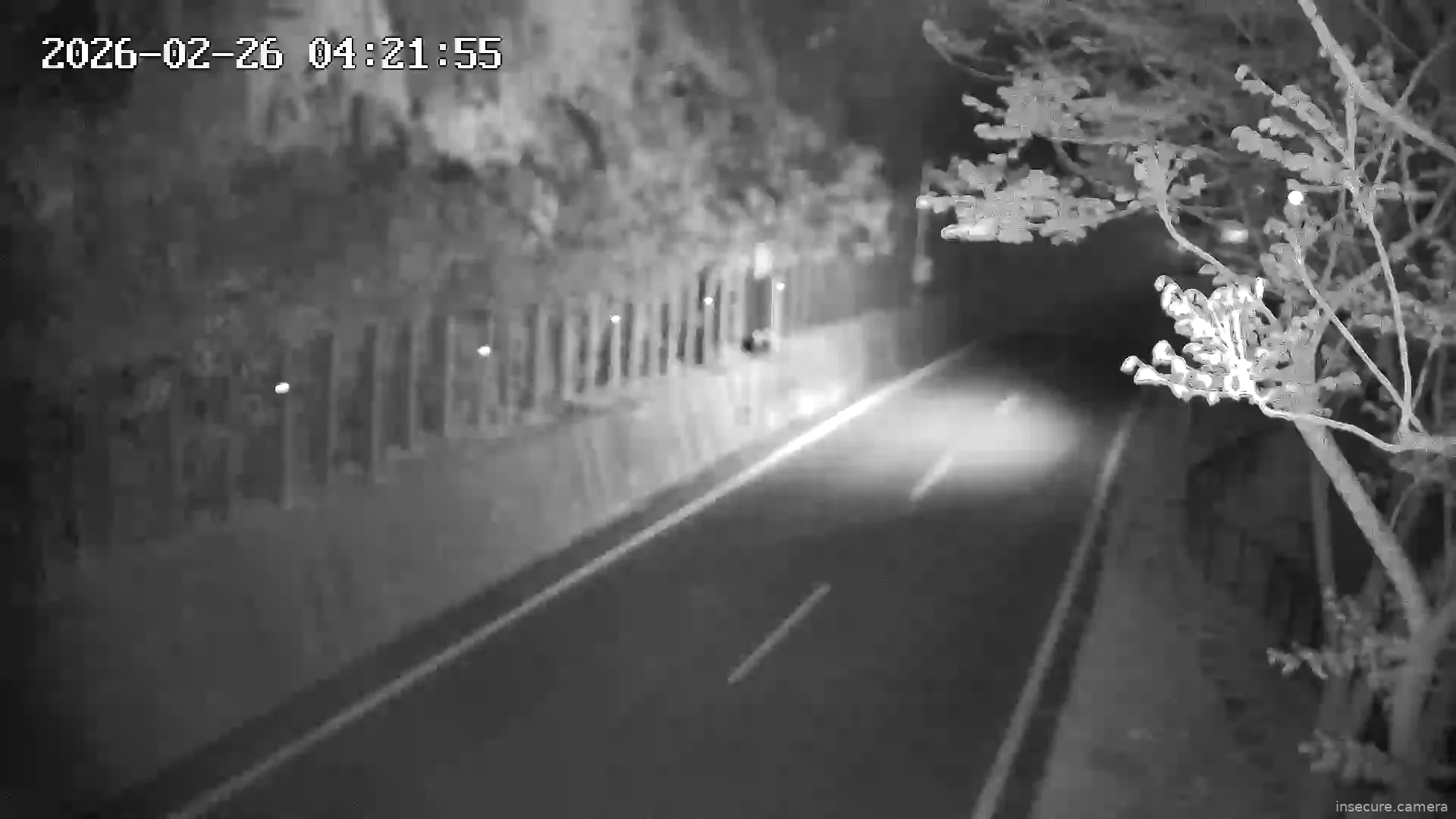 Capture from Feb 25, 2026 at 08:22 PM