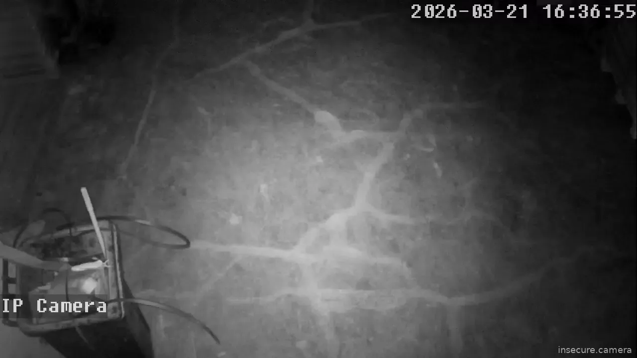 Capture from Mar 21, 2026 at 01:37 PM