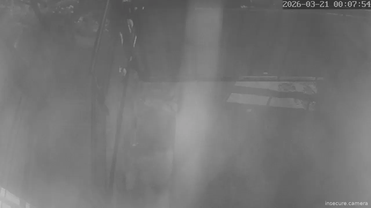 Capture from Mar 21, 2026 at 03:09 AM