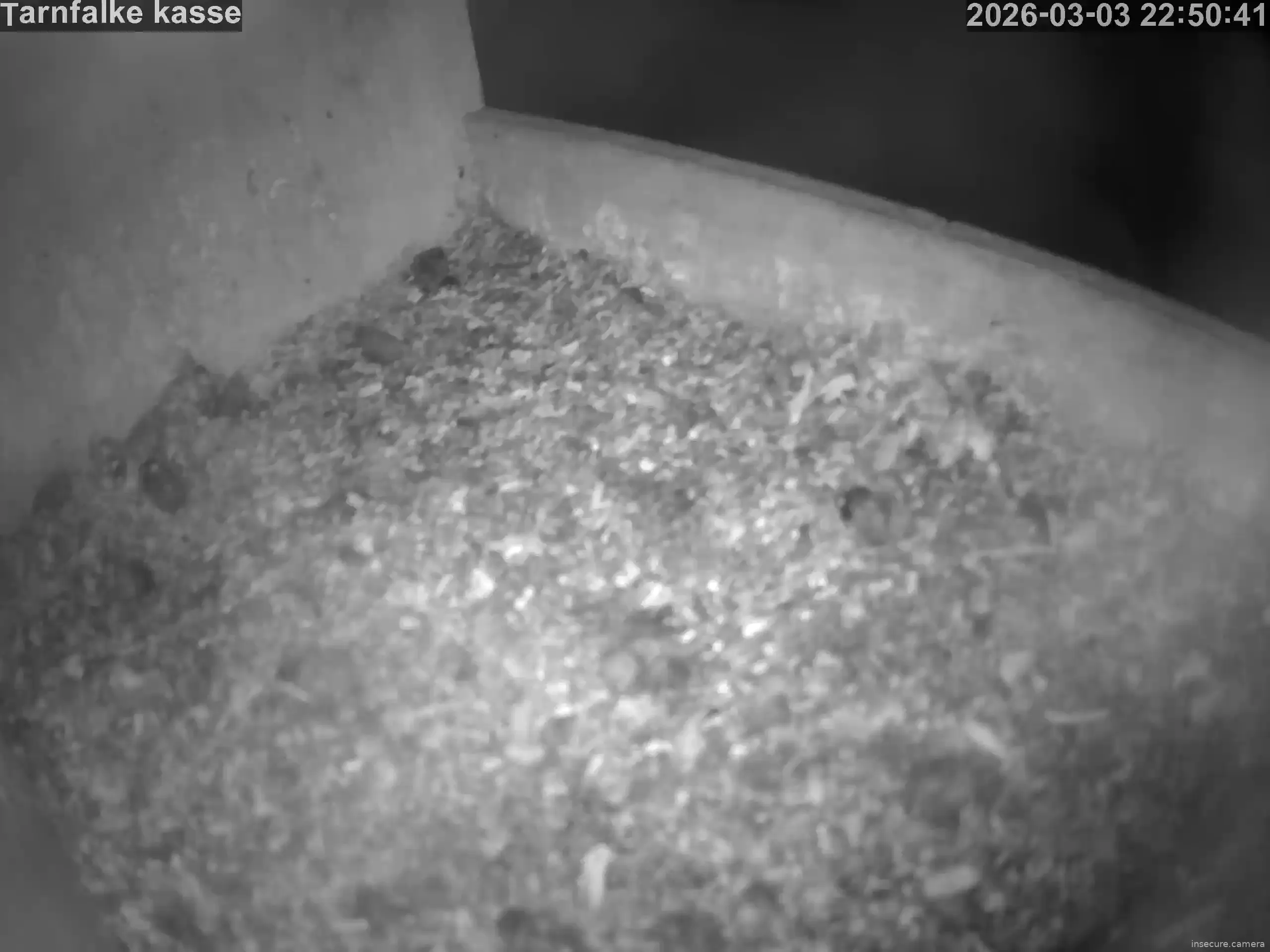 Capture from Mar 03, 2026 at 09:51 PM