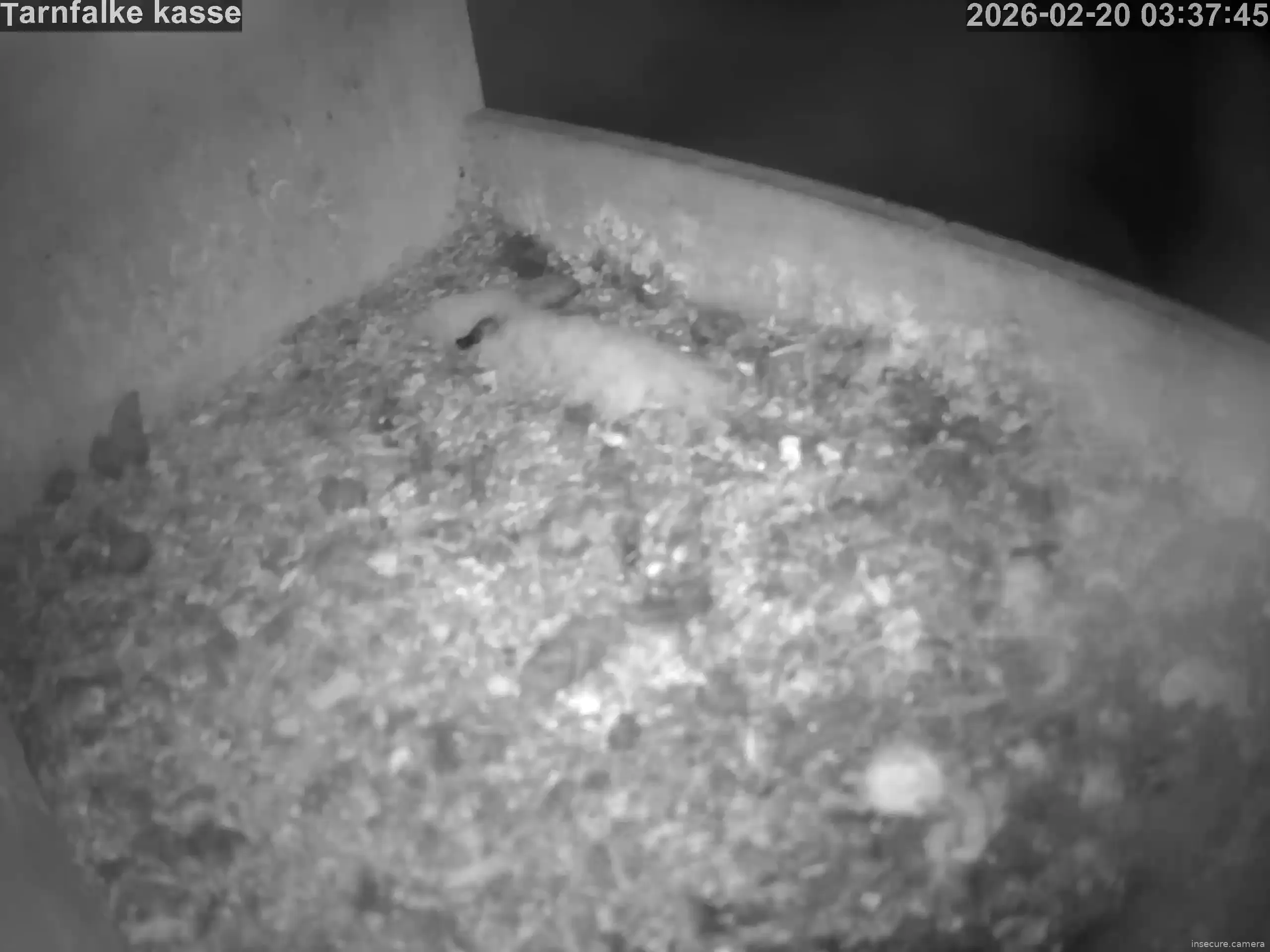 Capture from Feb 20, 2026 at 02:38 AM