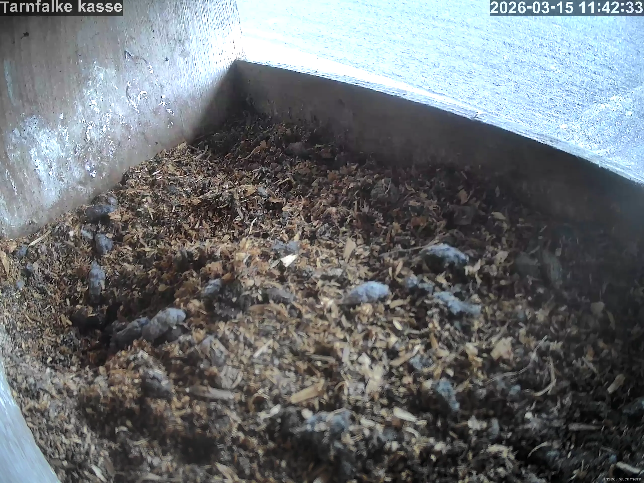 Capture from Mar 15, 2026 at 10:42 AM