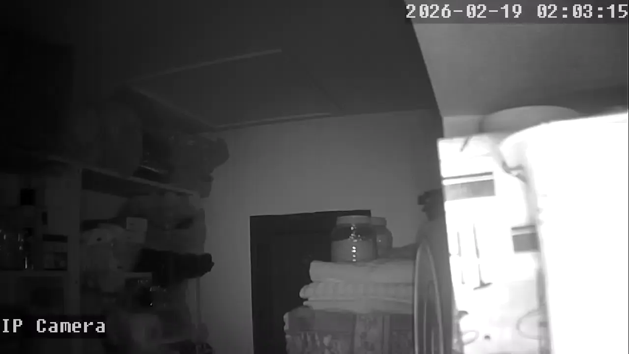 Capture from Feb 19, 2026 at 12:03 AM