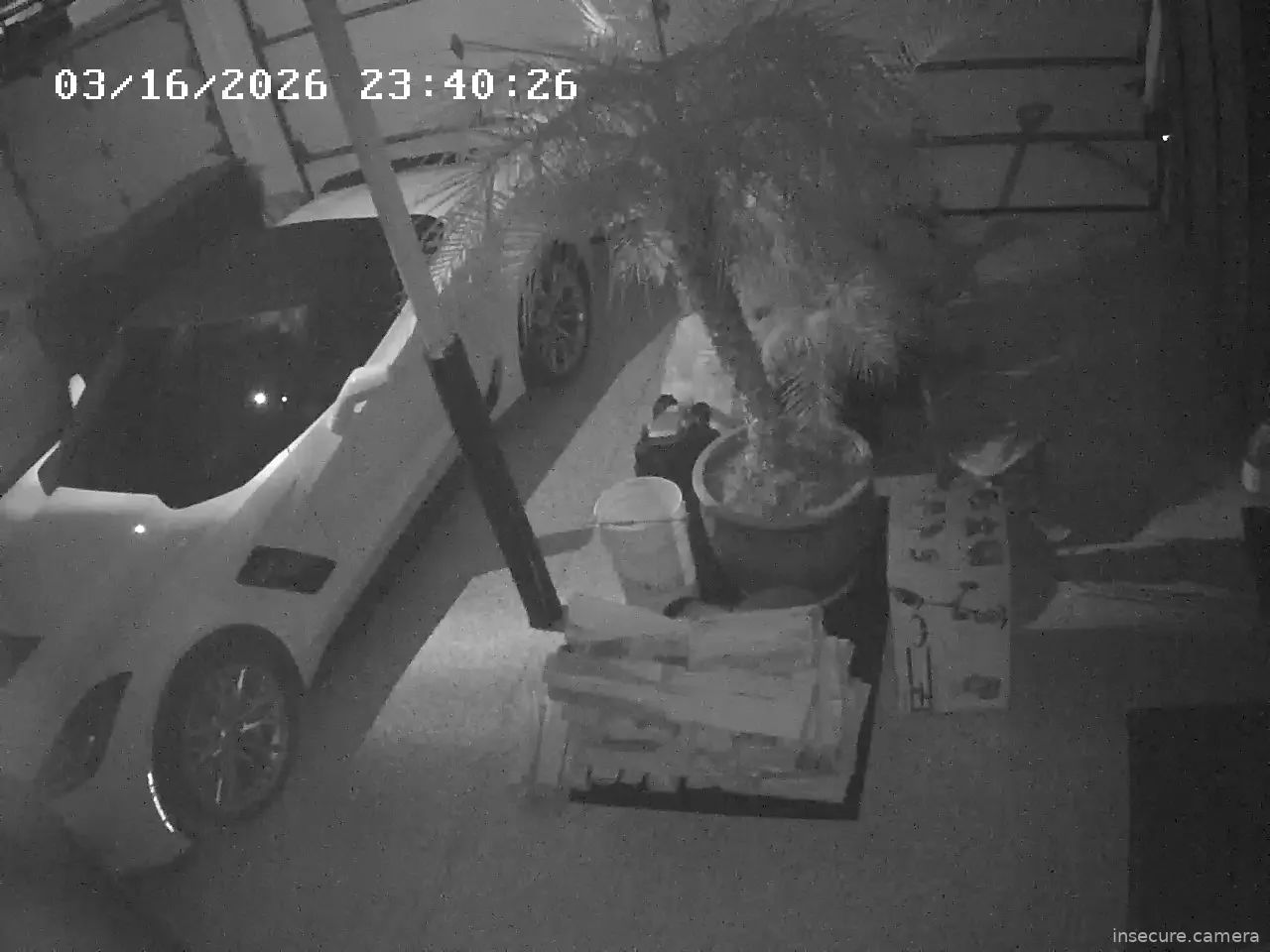 Capture from Mar 17, 2026 at 04:41 AM