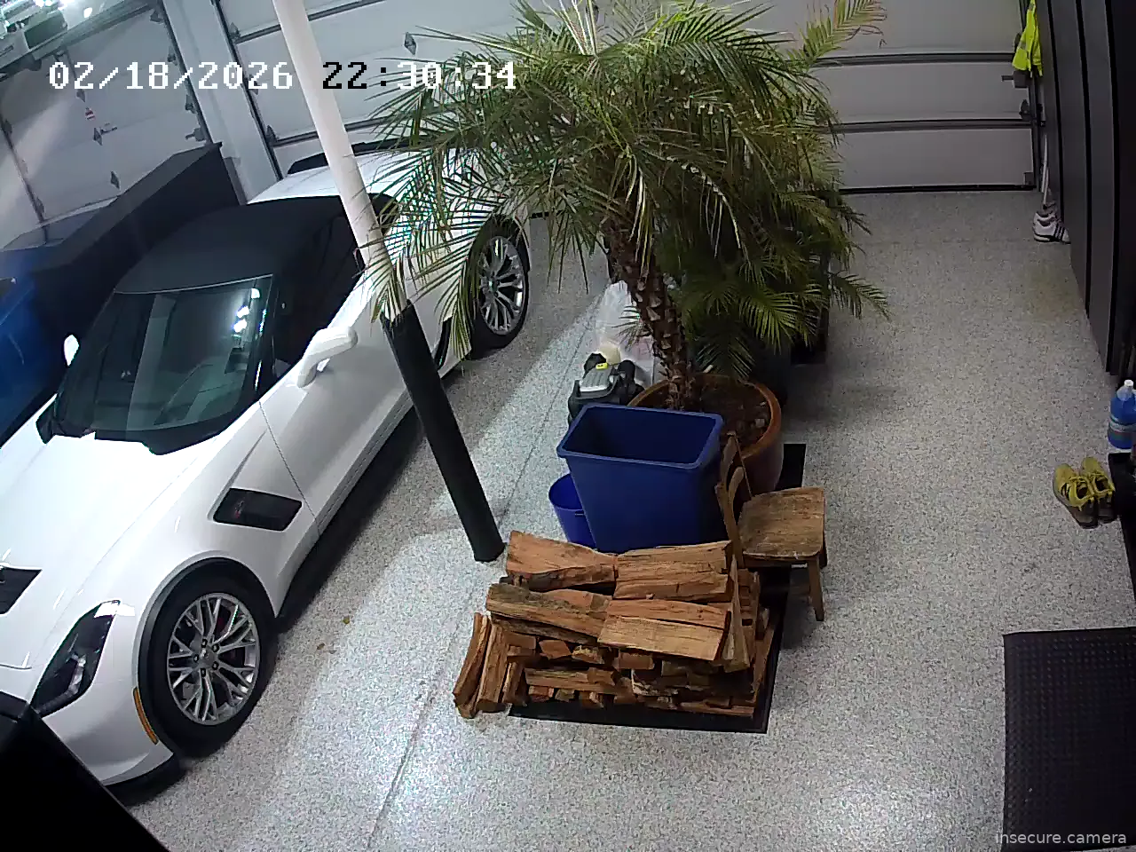 Capture from Feb 19, 2026 at 03:30 AM