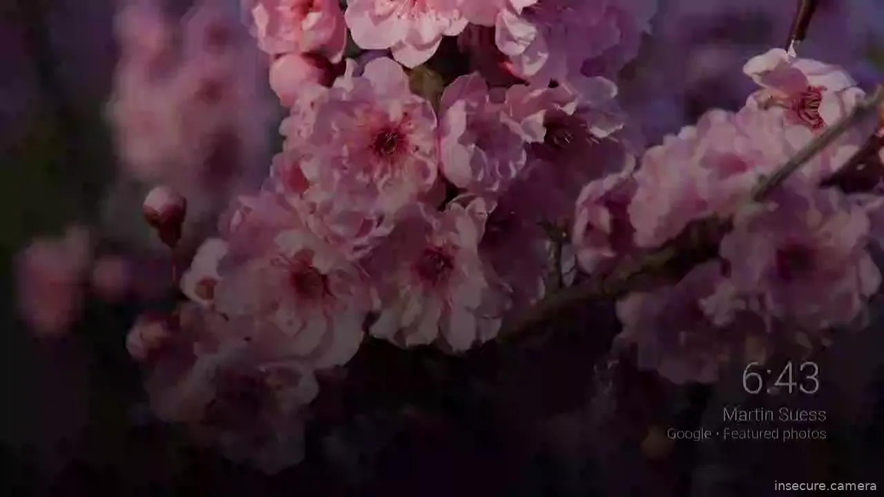 Camera in United States