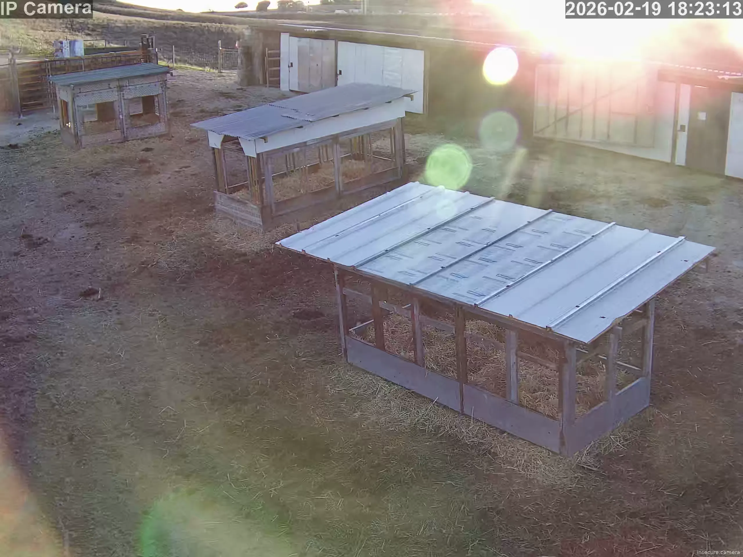 Capture from Feb 19, 2026 at 05:23 PM