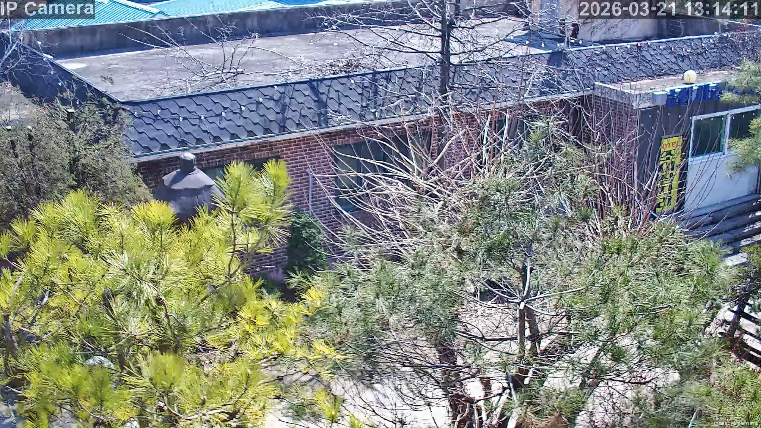 Camera in South Korea