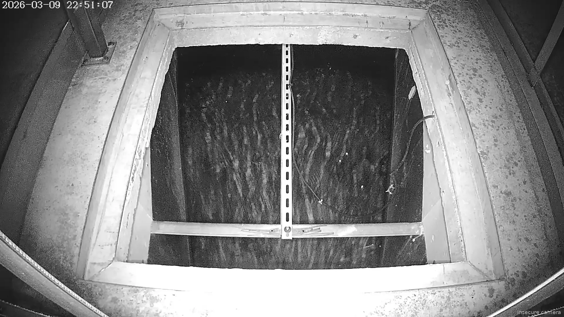 Capture from Mar 09, 2026 at 02:51 PM