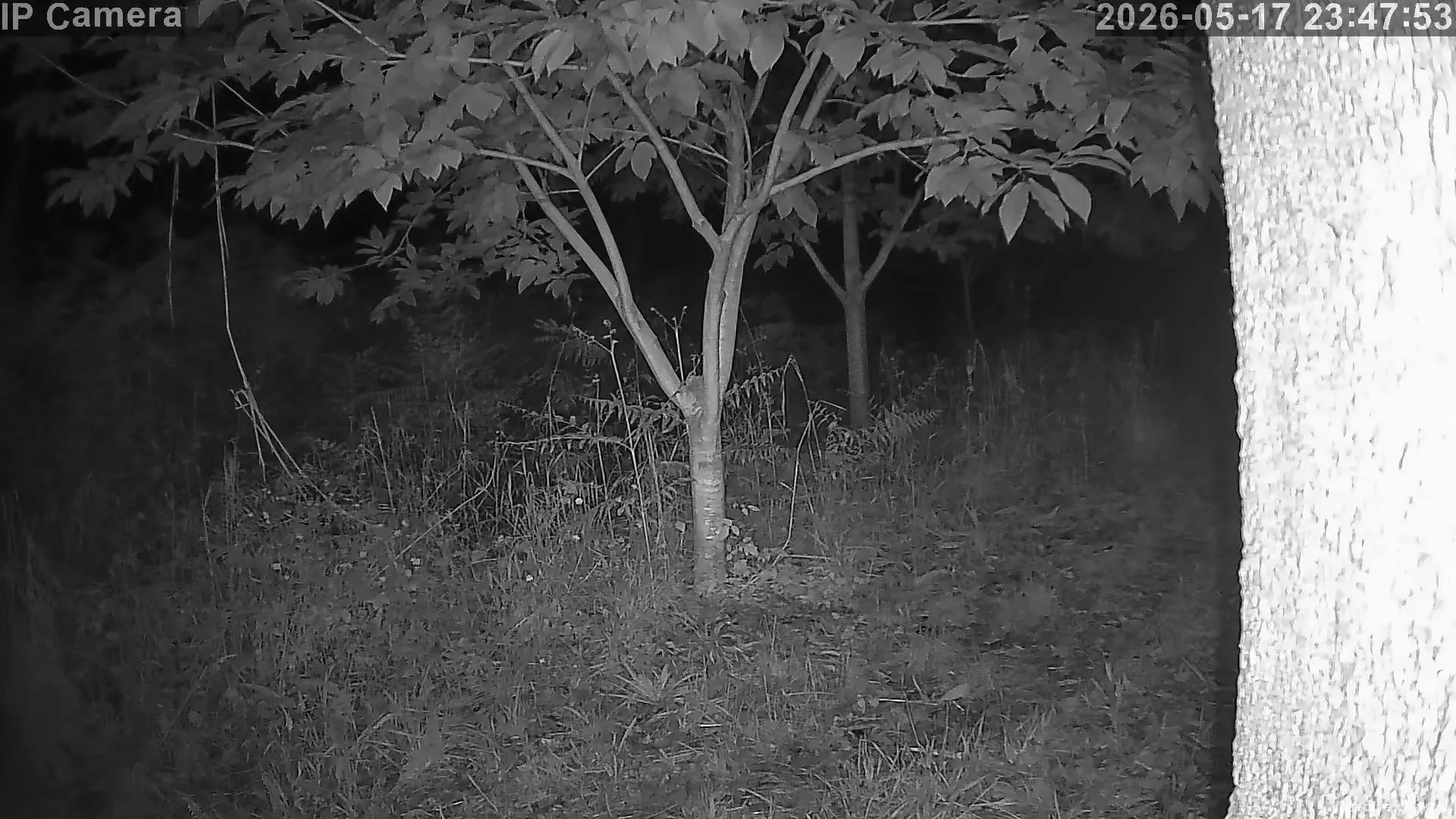 Capture from May 17, 2026 at 09:48 PM