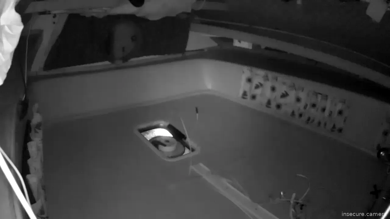 Capture from Mar 12, 2026 at 03:07 AM