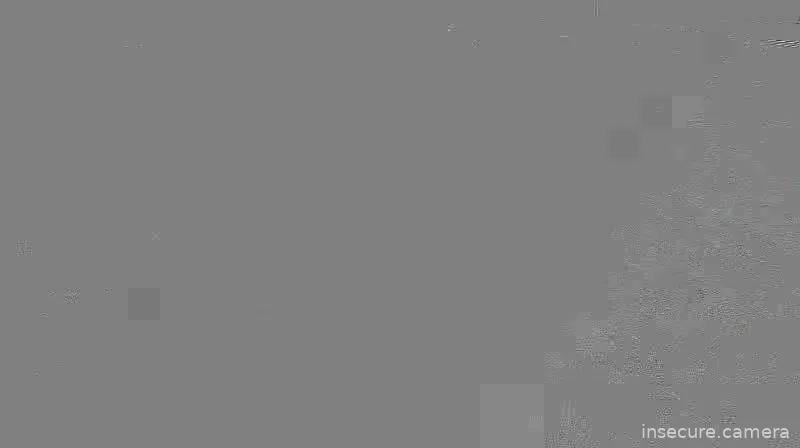 Capture from Mar 02, 2026 at 06:01 AM