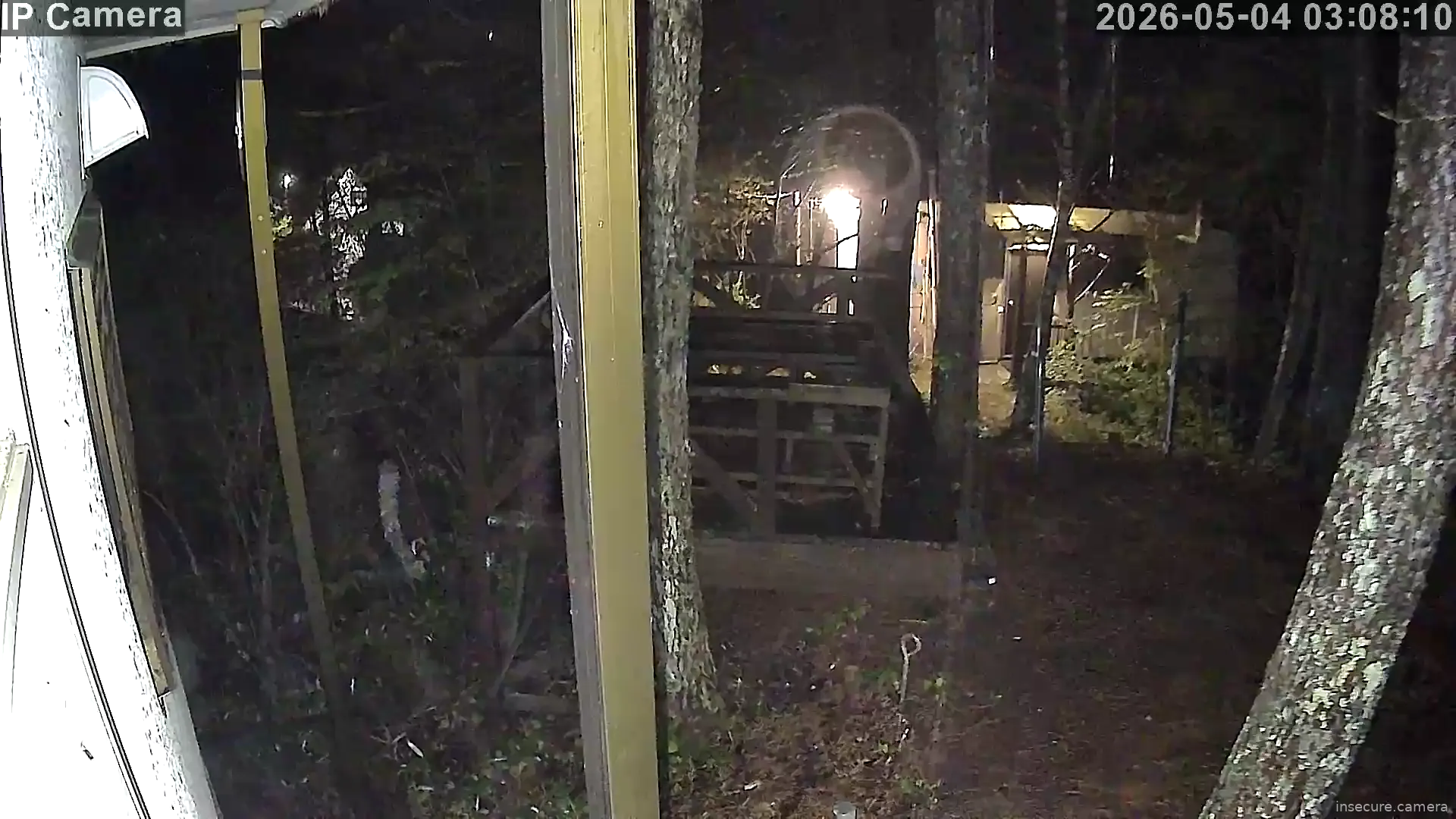 Camera in Japan