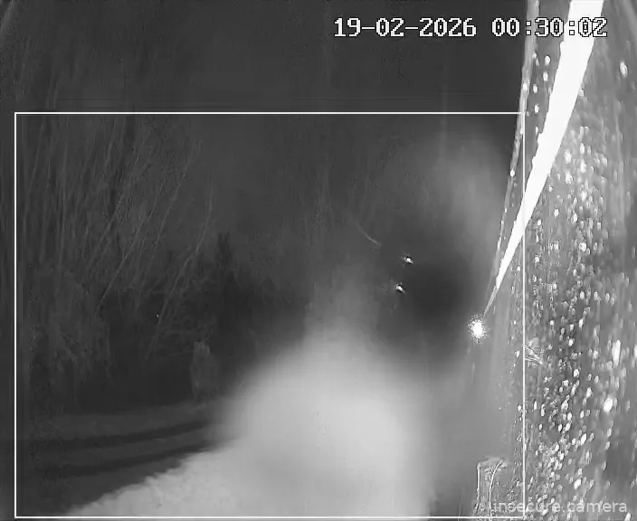 Capture from Feb 19, 2026 at 12:30 AM