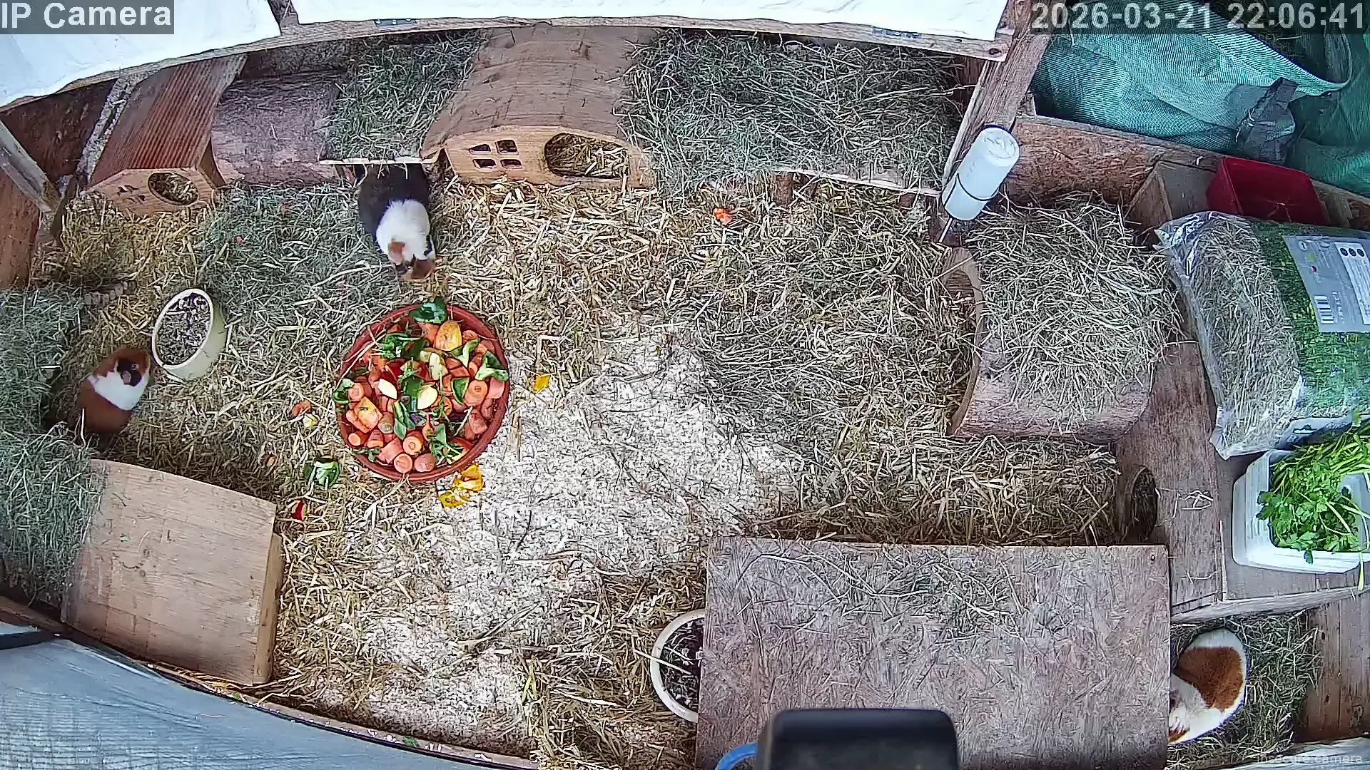 Capture from Mar 21, 2026 at 02:06 PM