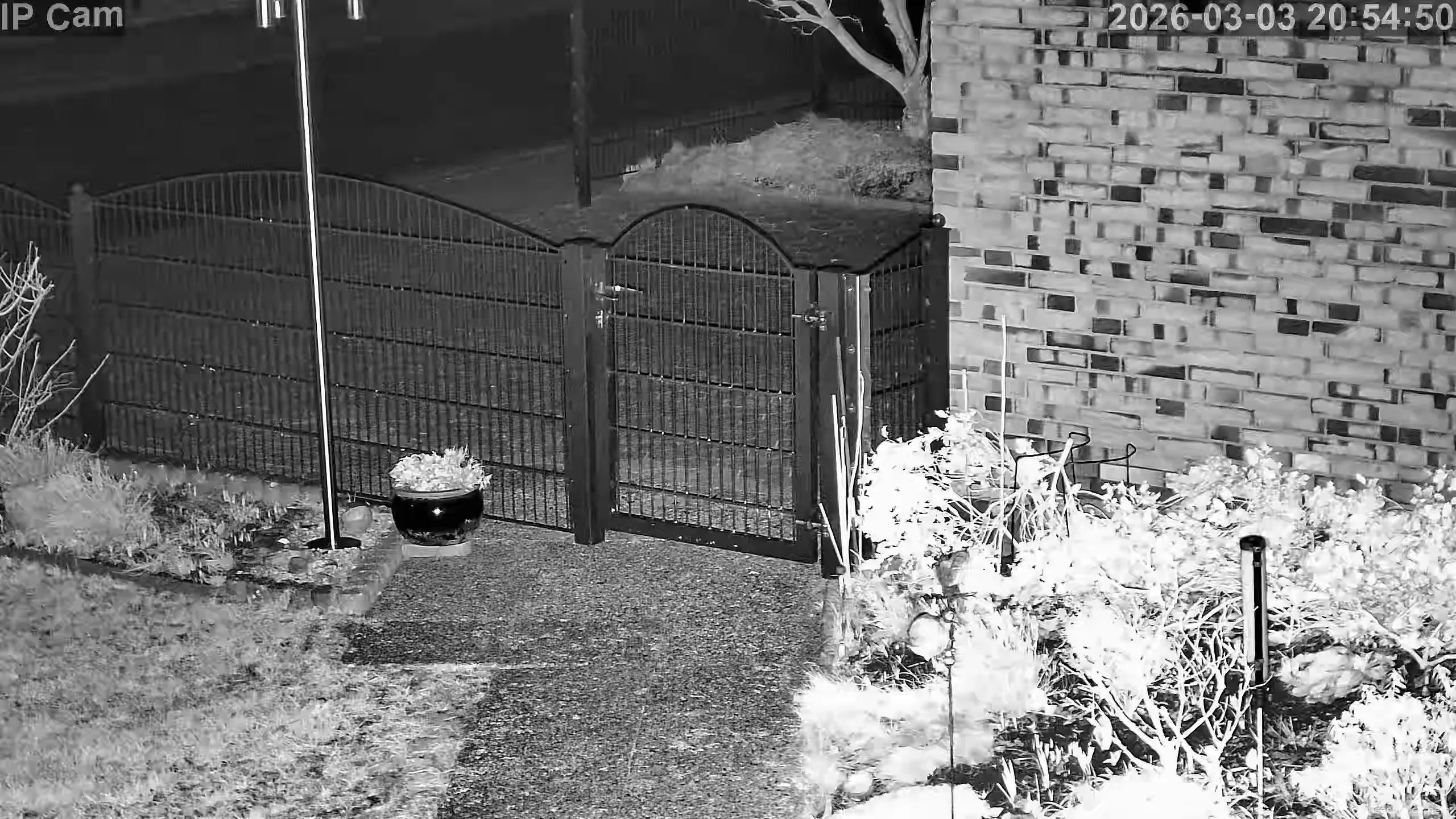 Capture from Mar 03, 2026 at 07:55 PM