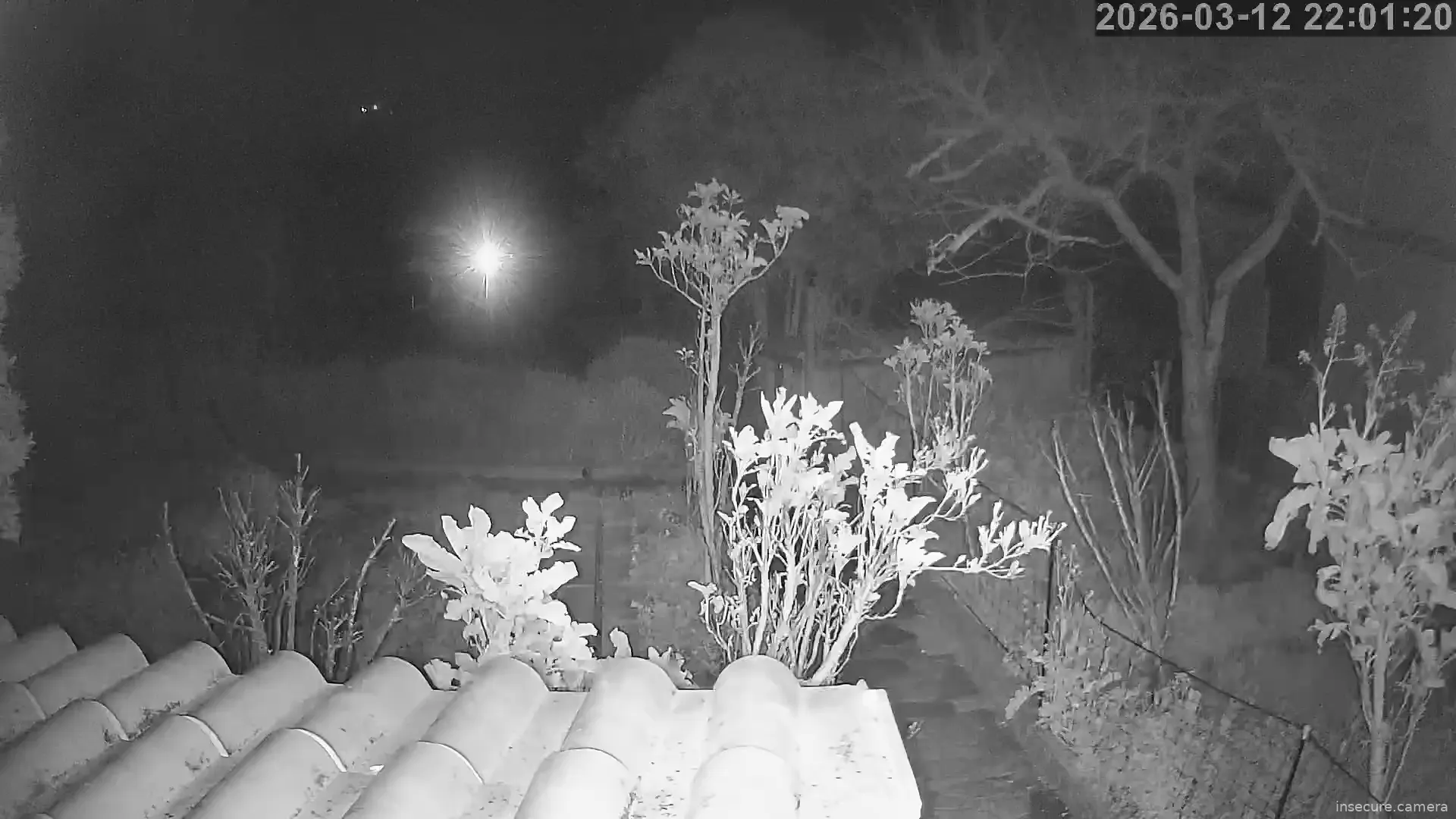 Capture from Mar 12, 2026 at 10:01 PM