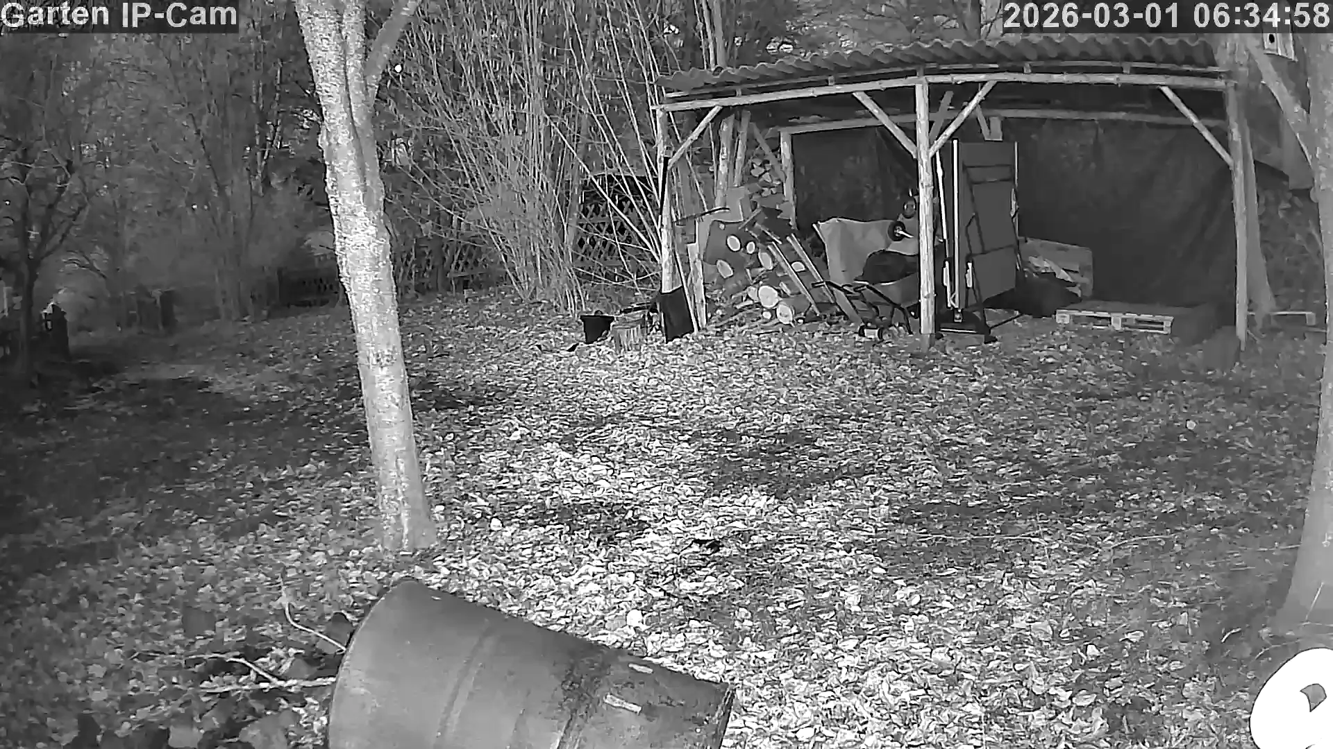 Capture from Mar 01, 2026 at 05:35 AM