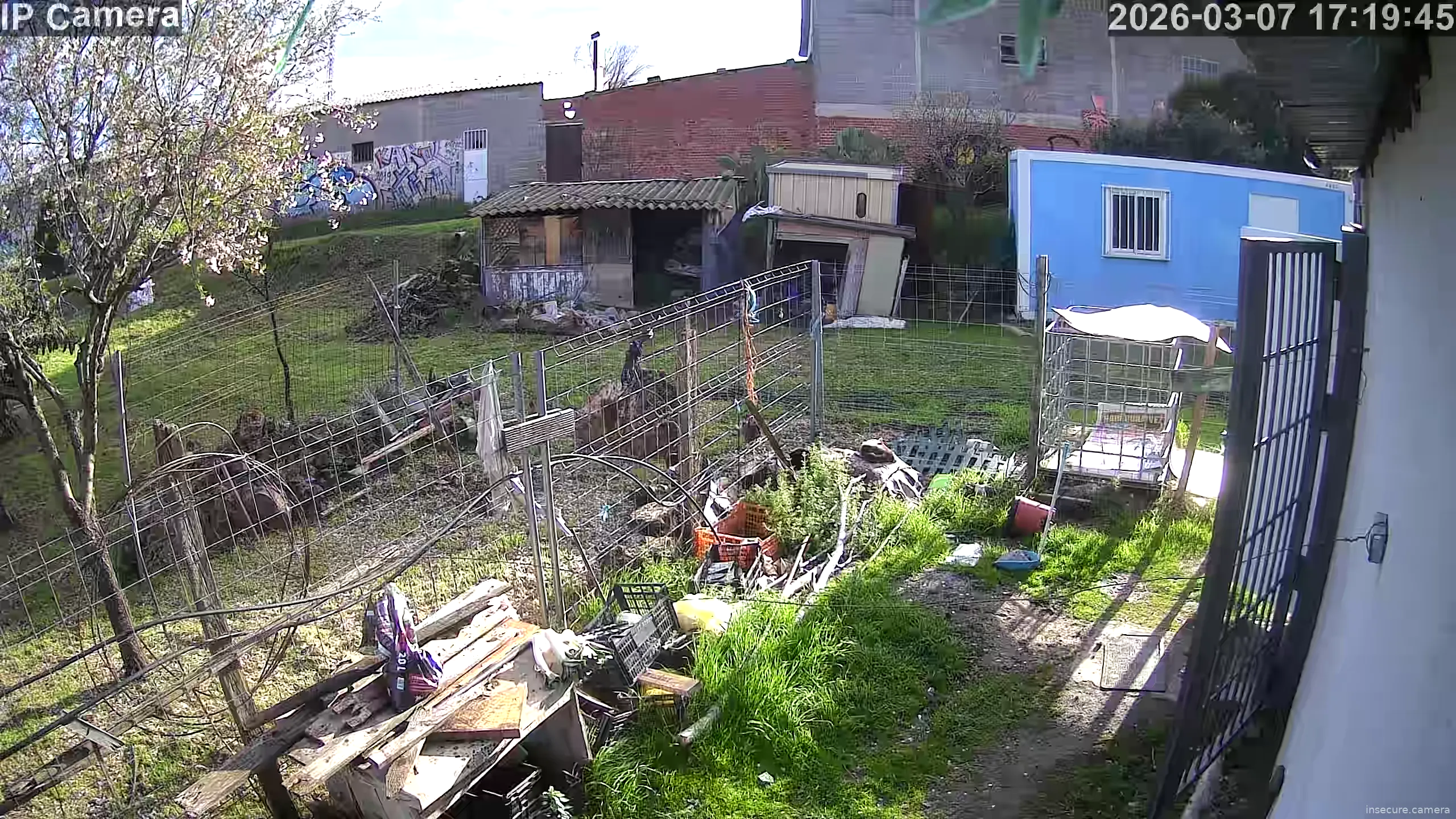 Capture from Mar 07, 2026 at 04:20 PM