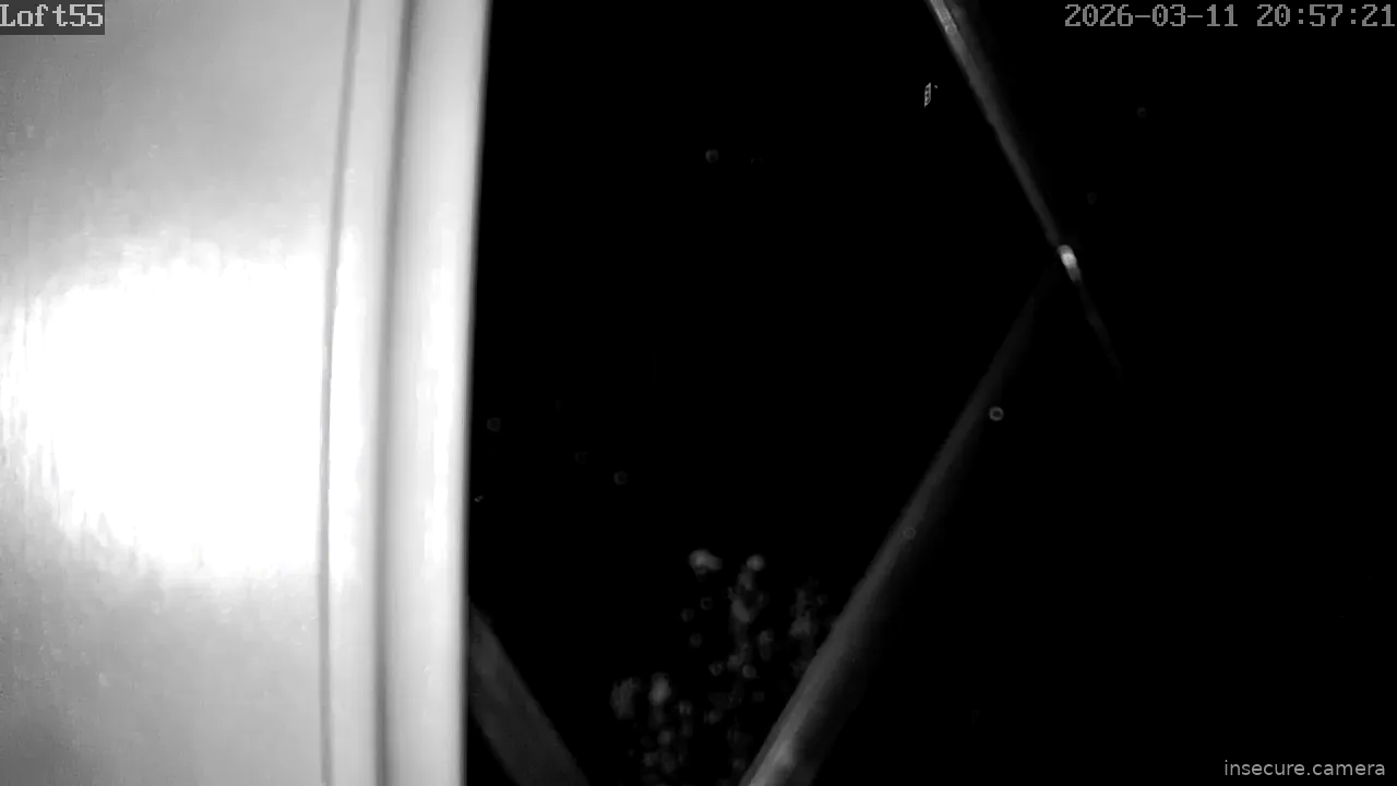 Camera in United Kingdom