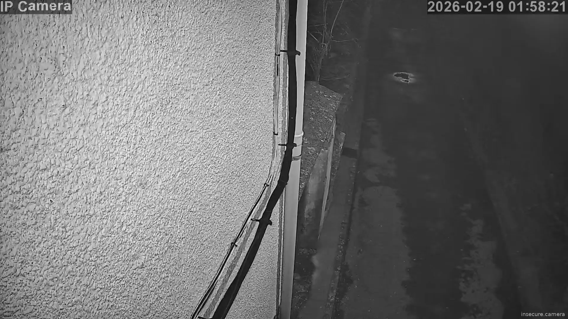 Capture from Feb 19, 2026 at 12:58 AM