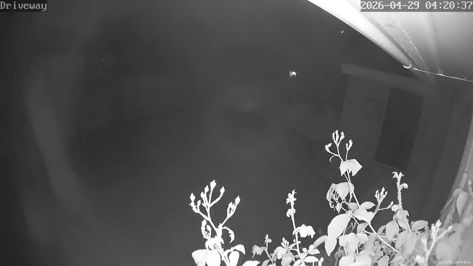 Camera in United Kingdom