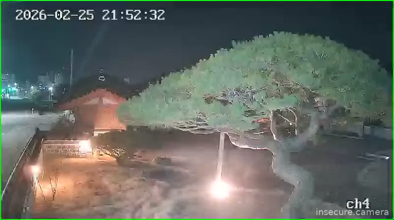 Capture from Feb 25, 2026 at 12:52 PM