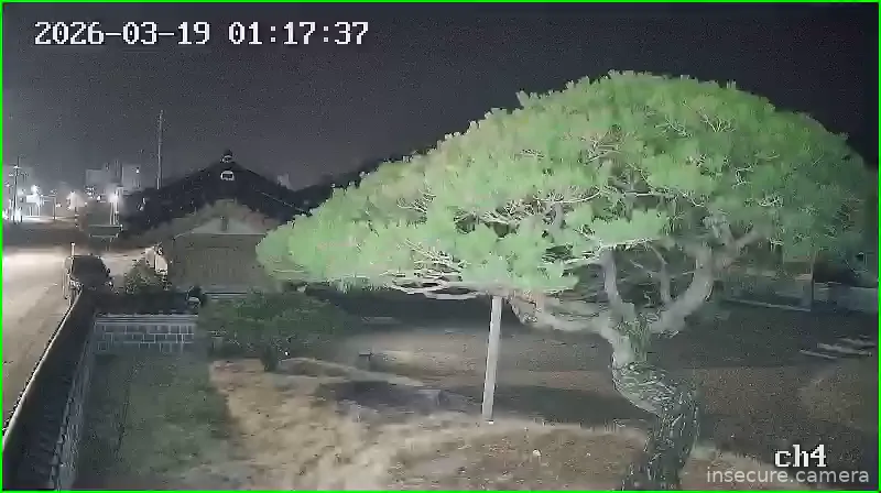 Camera in South Korea