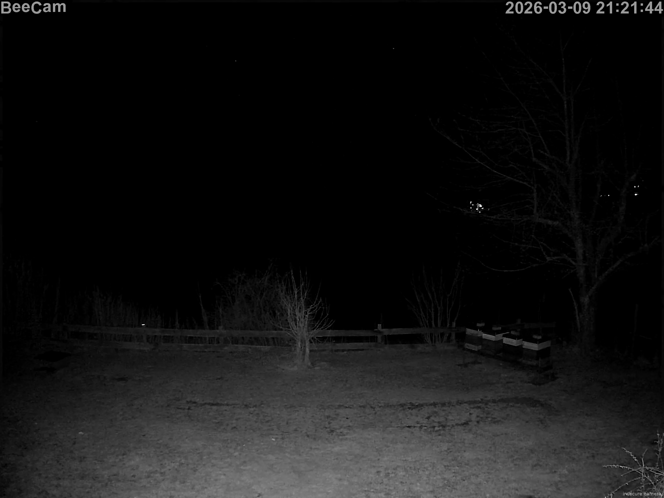 Capture from Mar 09, 2026 at 08:22 PM