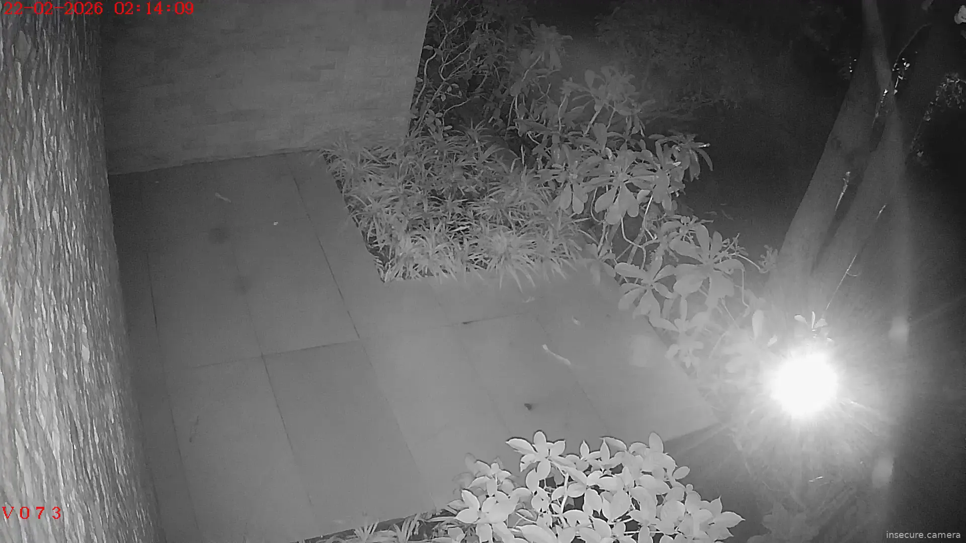 Capture from Feb 21, 2026 at 07:14 PM