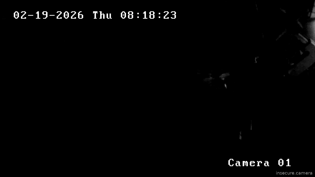 Capture from Feb 19, 2026 at 01:19 AM