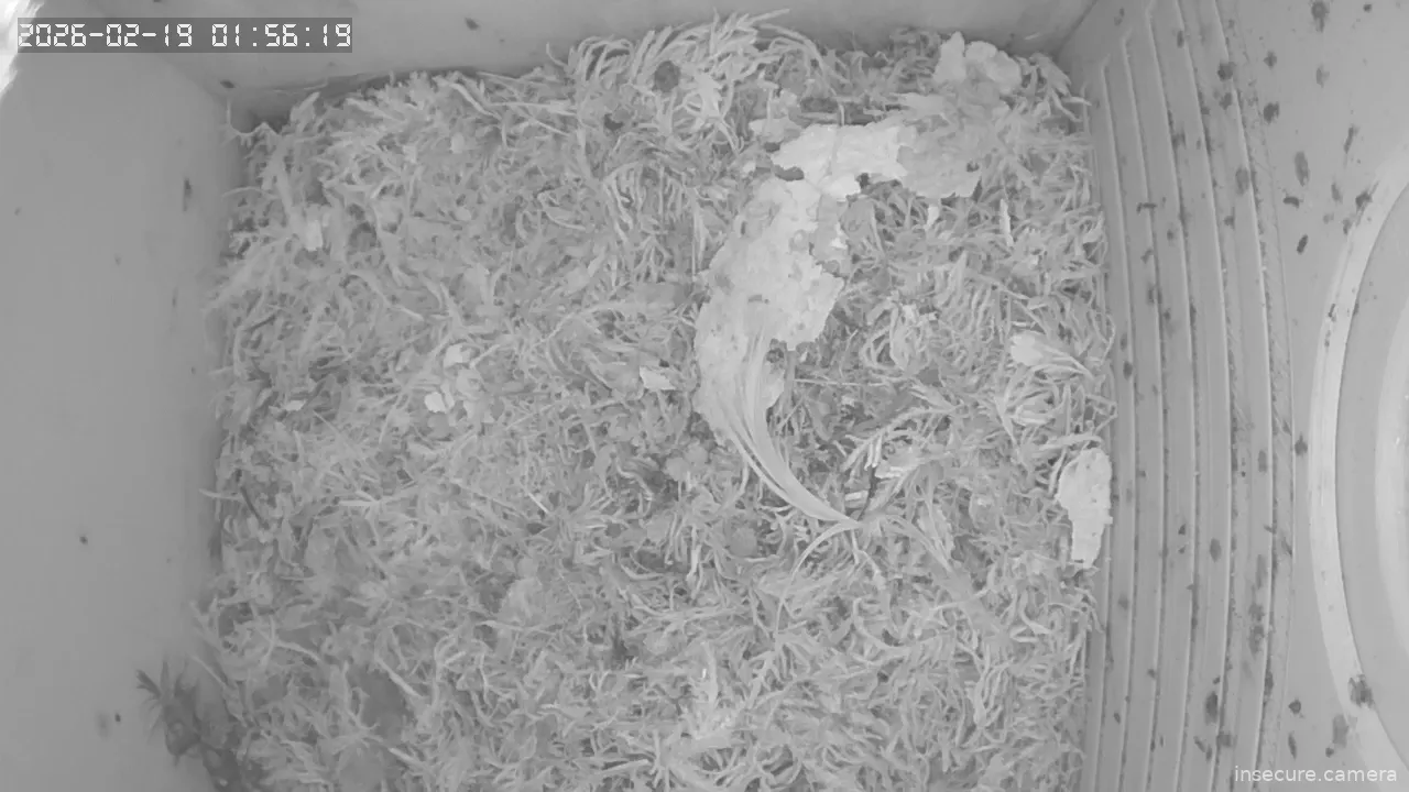 Capture from Feb 19, 2026 at 12:56 AM