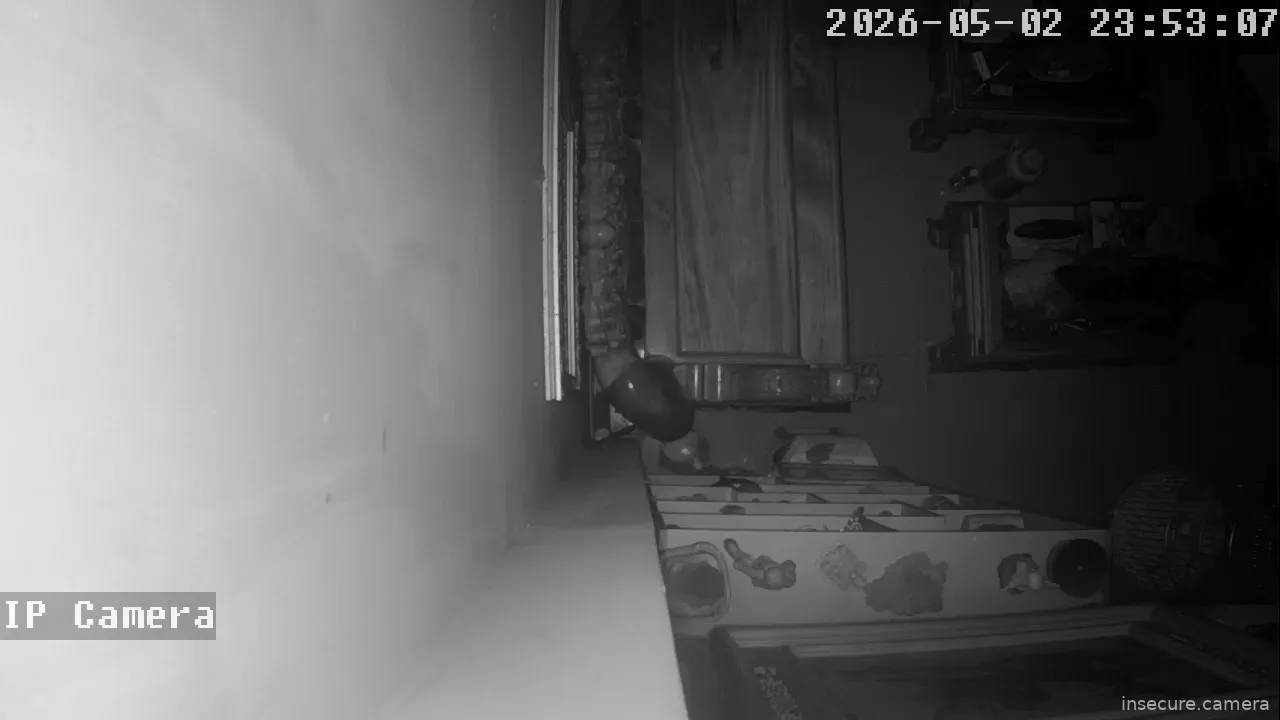 Camera in Vietnam